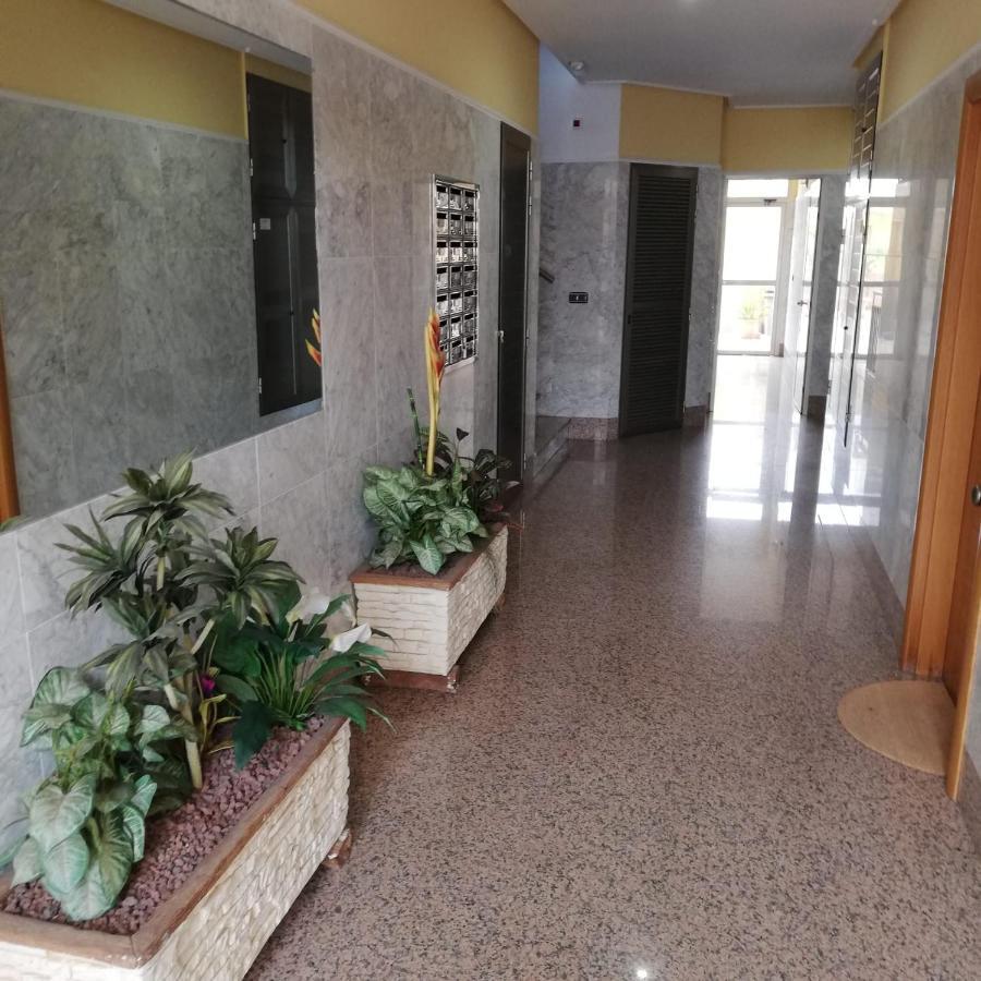 Apartamento A 50 Metros De La Playa Muchavista El Campello Luaran gambar